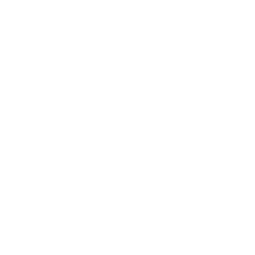 Ronin Studio